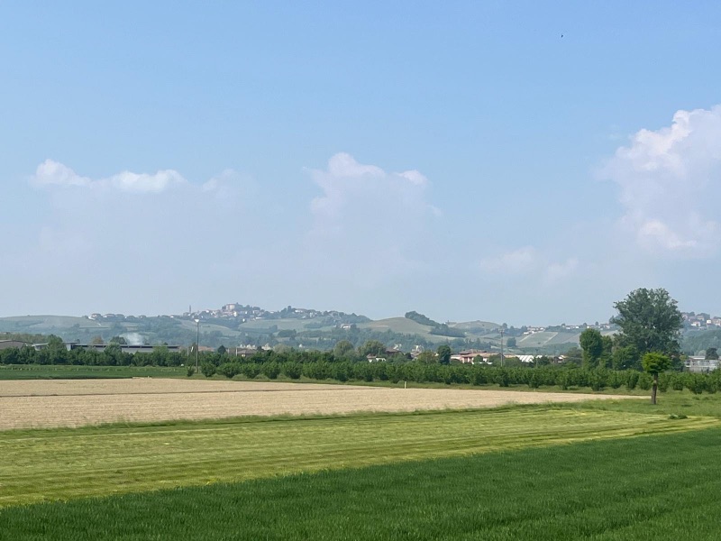 Vineyards