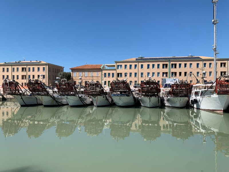 Fishboats